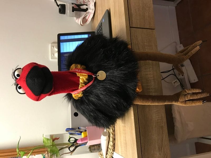 Berky the Brush Turkey